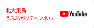 北大東島うふあがりチャンネル